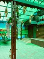 IMG_1697