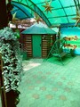 IMG_1731